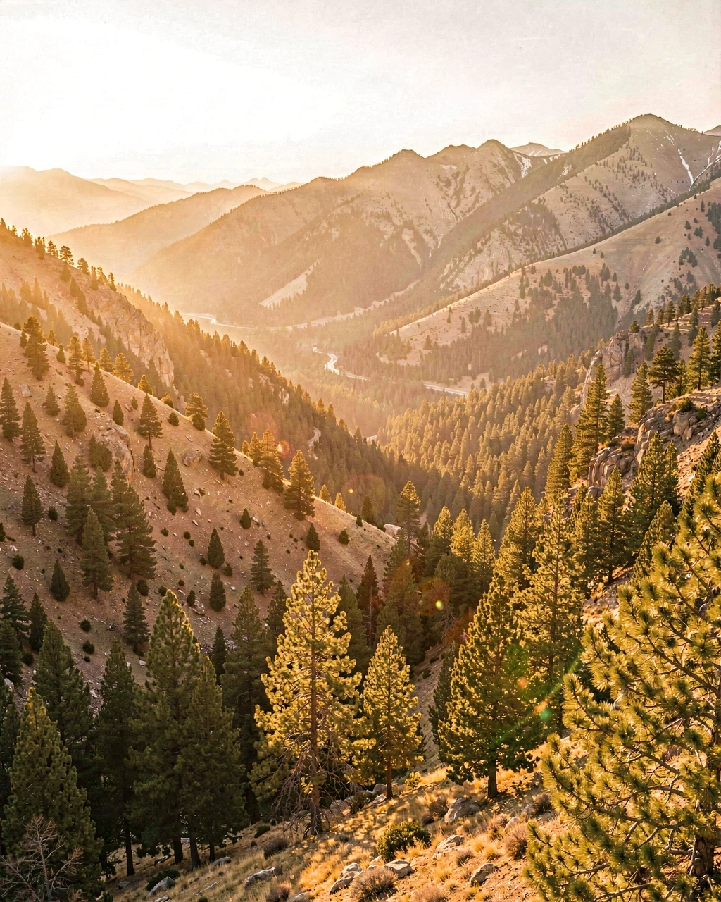 The Sierra Nevada foothills at dawn